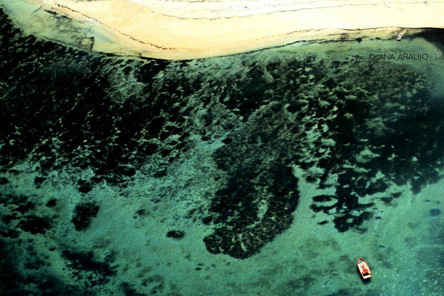 Ilha de Santo Aleixo Litoral PE