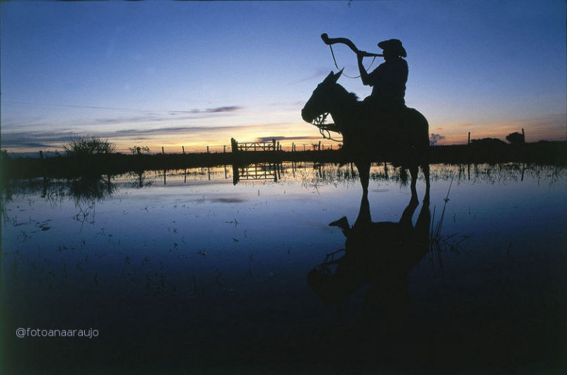 Pantanal em Mato Grosso do Sul