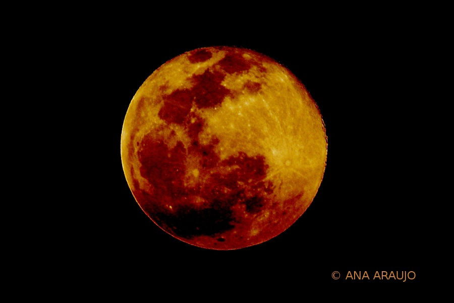 Lua no Cerrado Brasília DF