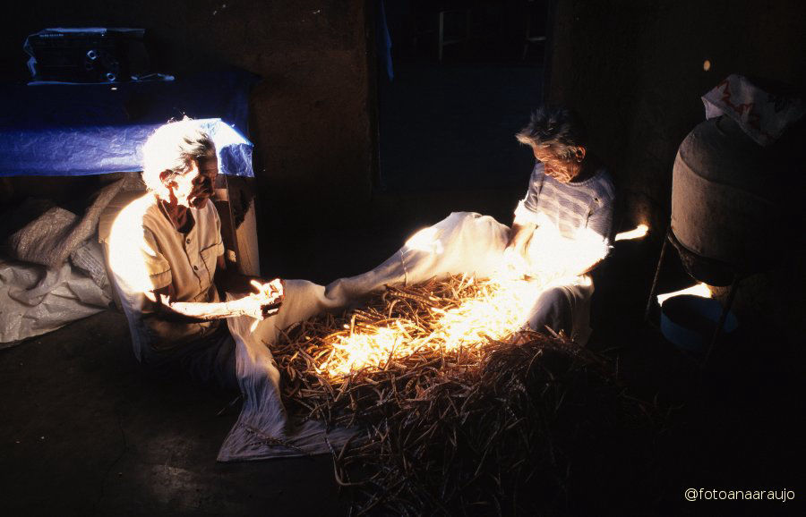 Agricultores vitimas da seca Barro CE